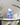 Blue & White Home Accessories